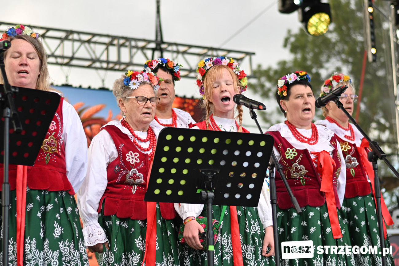 Jaroszowianie byli gospodarzem święta plonów w gminie Strzegom [WIDEO+FOTO] 